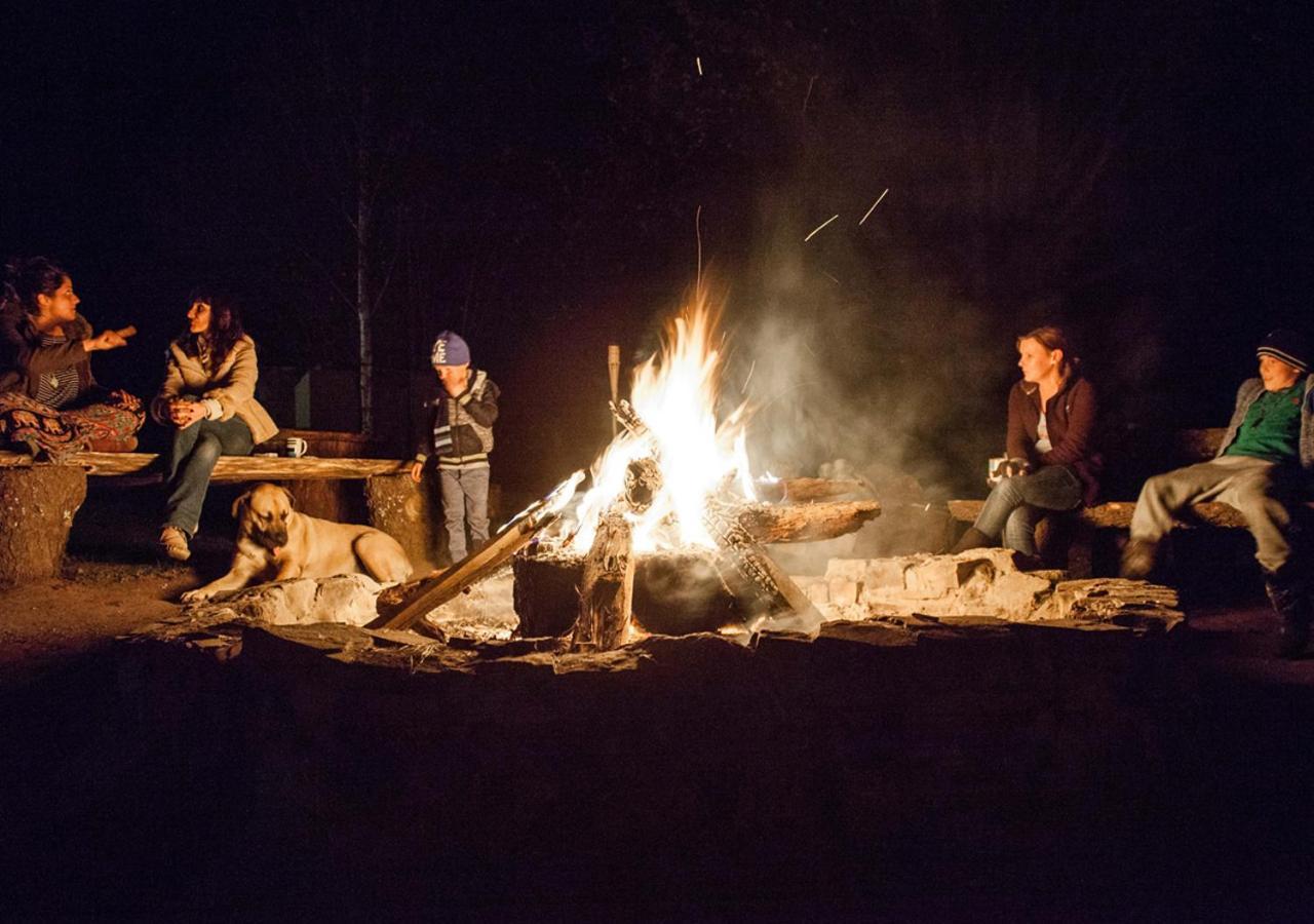 Away With The Fairies Nature Lodge And Backpackers Hogsback Eksteriør bilde